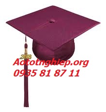 Nón tốt nghiệp tiểu học